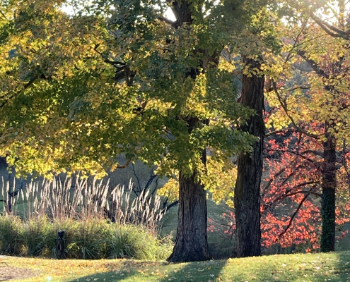 Fox Hollow Golf Course | Glasgow Golf Course | Kentucky Golf